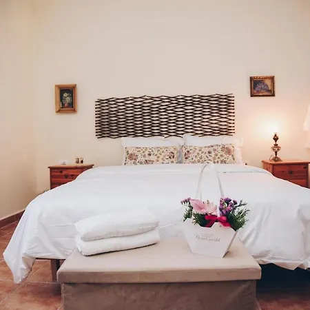 Mirditoria House *